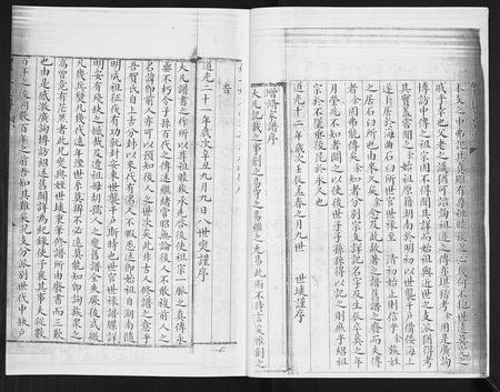 山东贺氏-贺氏族谱[4卷].pdf电子版插图3