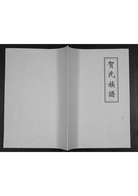 山东贺氏-贺氏族谱[不分卷].pdf电子版插图