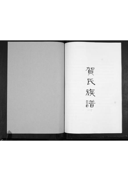 山东贺氏-贺氏族谱[不分卷].pdf电子版插图1