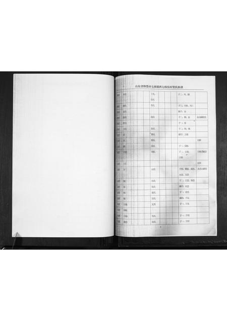 山东贺氏-贺氏族谱[不分卷].pdf电子版插图5