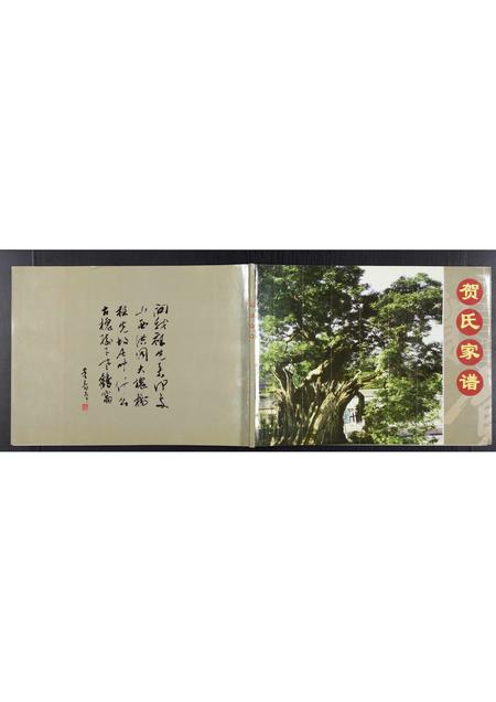河北贺氏-贺氏家谱[不分卷].pdf电子版插图