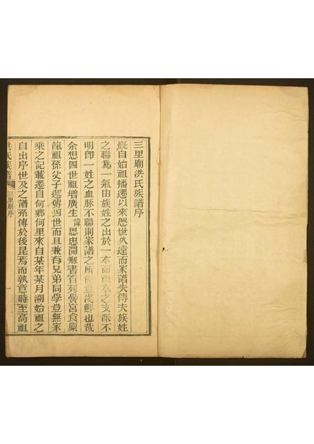 山东洪氏-洪氏族谱.pdf电子版插图1