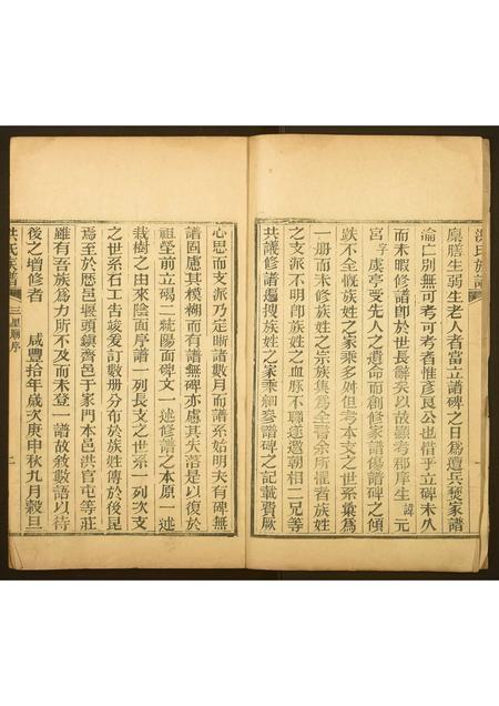 山东洪氏-洪氏族谱.pdf电子版插图2