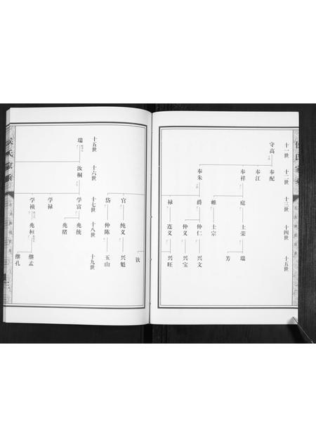 山东侯氏-侯氏家乘[不分卷].pdf电子版插图3