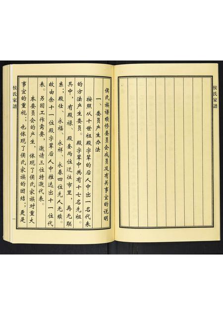 山东侯氏-侯氏家谱.pdf电子版插图3