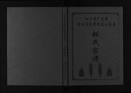四川胡氏-胡氏家谱[不分卷].pdf电子版插图