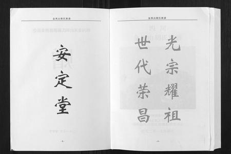 四川胡氏-金凤山胡氏族谱[不分卷].pdf电子版插图2
