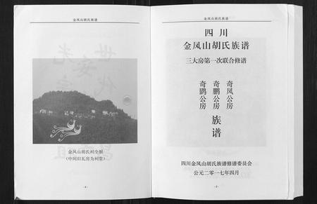 四川胡氏-金凤山胡氏族谱[不分卷].pdf电子版插图3