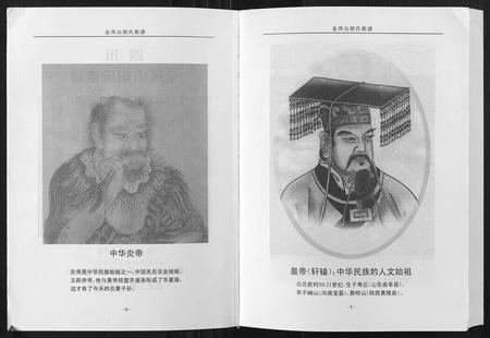 四川胡氏-金凤山胡氏族谱[不分卷].pdf电子版插图4