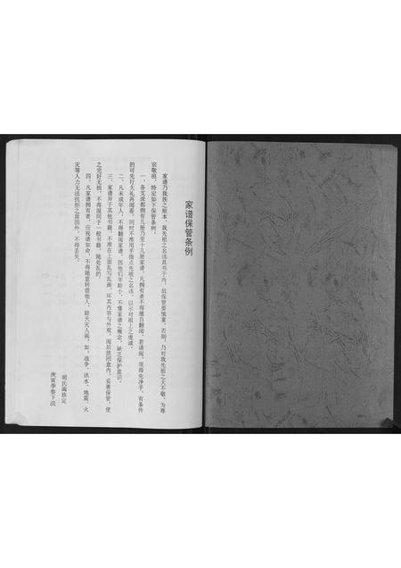 山东胡氏-轩庄胡氏支谱.pdf电子版插图1