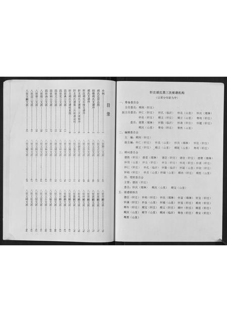 山东胡氏-轩庄胡氏支谱.pdf电子版插图2