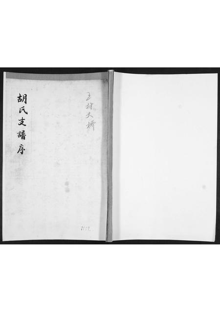 山东胡氏-胡氏支谱.pdf电子版