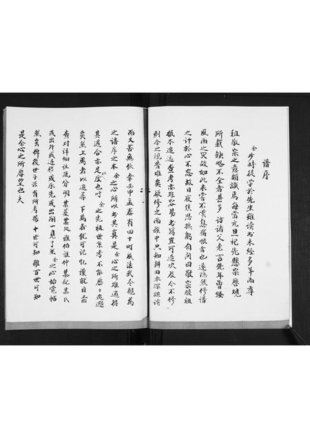 山东胡氏-胡氏支谱.pdf电子版插图2