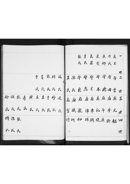 山东胡氏-胡氏支谱.pdf电子版插图5