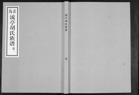 山东胡氏-胡氏族谱.pdf电子版