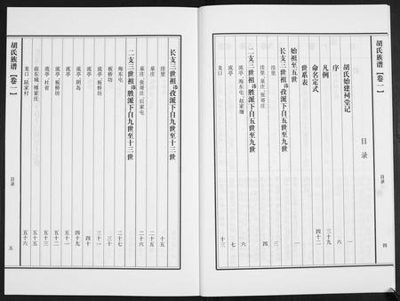 山东胡氏-胡氏族谱.pdf电子版插图4