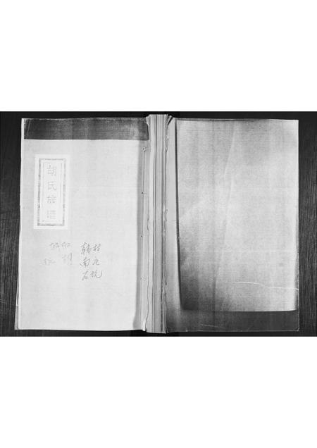 山东胡氏-胡氏族谱.pdf电子版