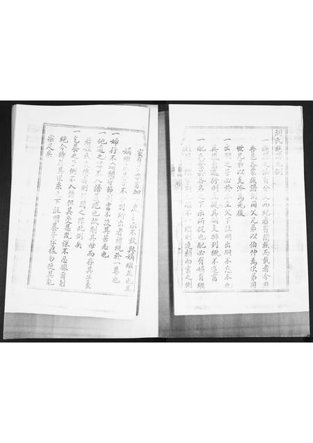 山东胡氏-胡氏族谱.pdf电子版插图1