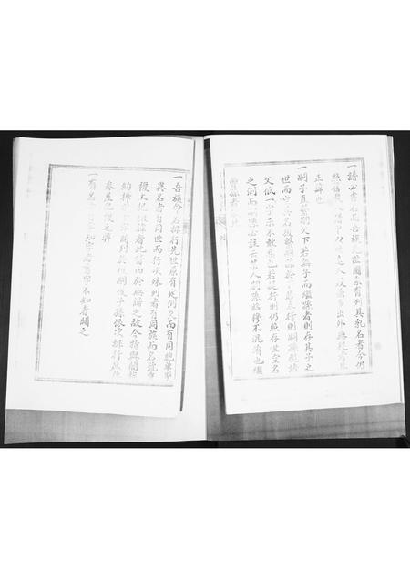 山东胡氏-胡氏族谱.pdf电子版插图2