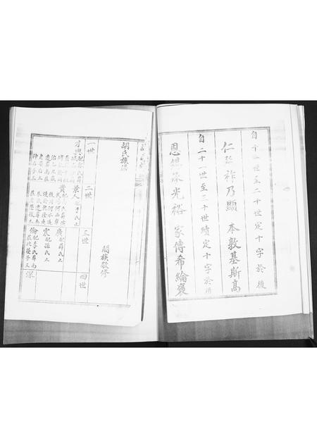 山东胡氏-胡氏族谱.pdf电子版插图4