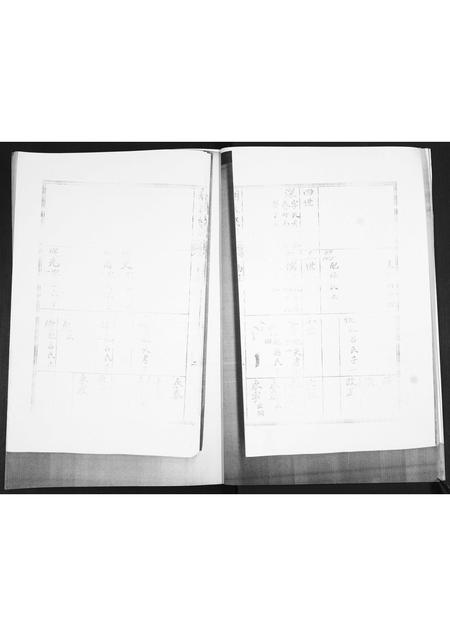 山东胡氏-胡氏族谱.pdf电子版插图5