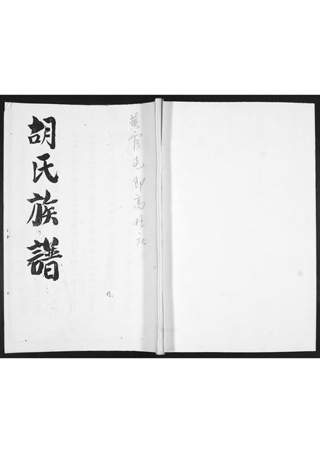山东胡氏-胡氏族谱.pdf电子版