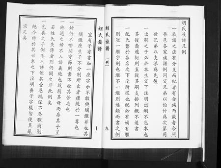 山东胡氏-胡氏族谱[2卷].pdf电子版插图5