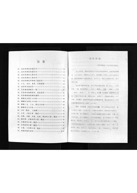 山西胡氏-胡氏家谱 [不分卷](别名：Hu Shi Jia Pu).pdf电子版插图4