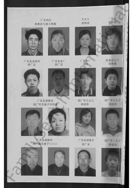 山西胡氏-胡氏家谱 [不分卷].pdf电子版插图