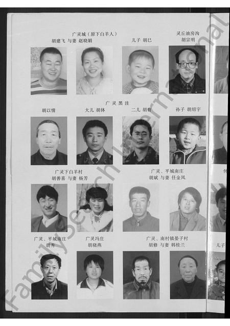 山西胡氏-胡氏家谱 [不分卷].pdf电子版插图4