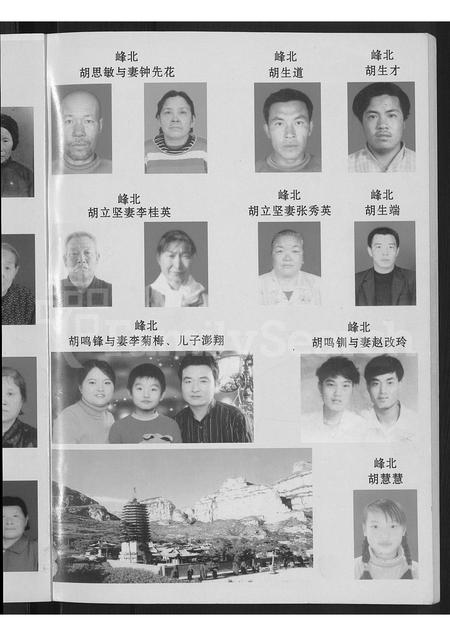 山西胡氏-山西省大同市灵邱县胡氏家谱 [不分卷].pdf电子版插图3