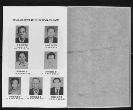 海南胡氏-胡氏族谱[13卷终1卷].pdf电子版插图2