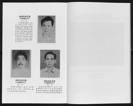 海南胡氏-胡氏族谱[13卷终1卷].pdf电子版插图4