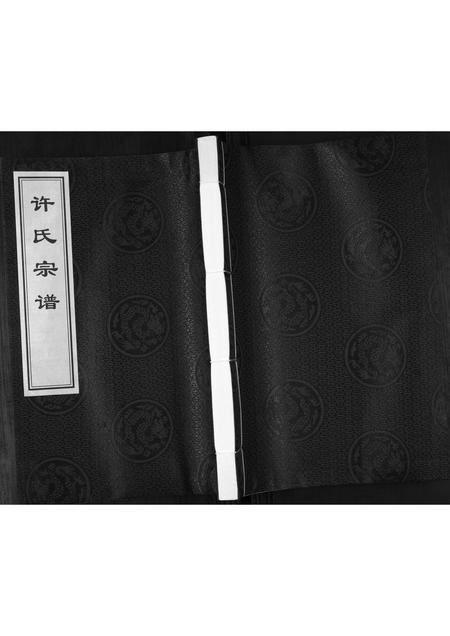 山东许氏-许氏宗谱.pdf电子版