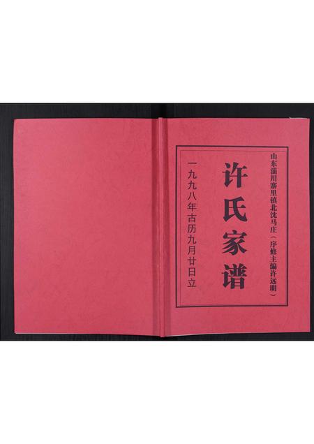山东许氏-许氏家谱[不分卷].pdf电子版
