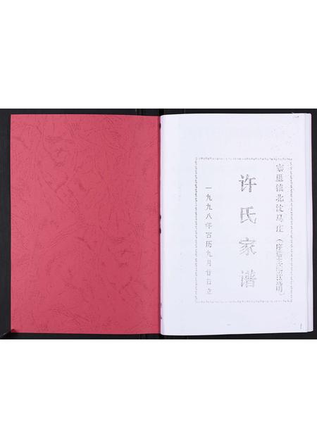 山东许氏-许氏家谱[不分卷].pdf电子版插图1