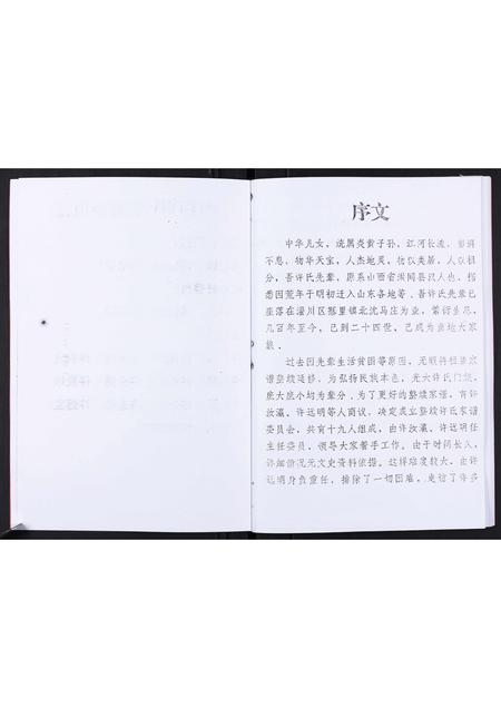 山东许氏-许氏家谱[不分卷].pdf电子版插图3