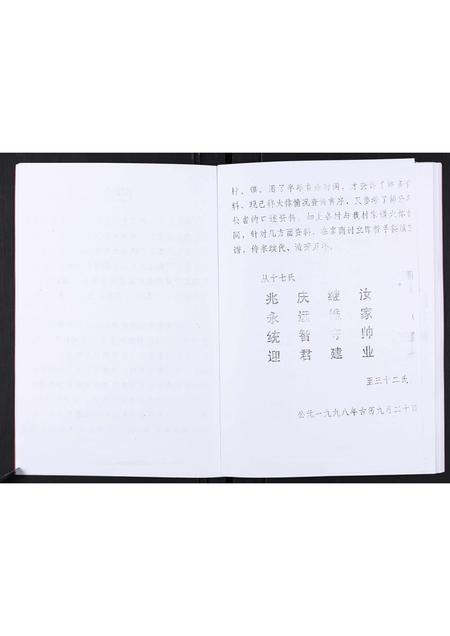 山东许氏-许氏家谱[不分卷].pdf电子版插图4