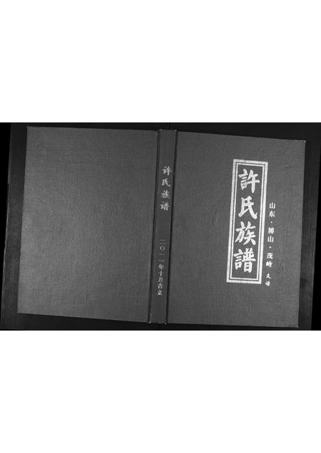 山东许氏-许氏族谱.pdf电子版