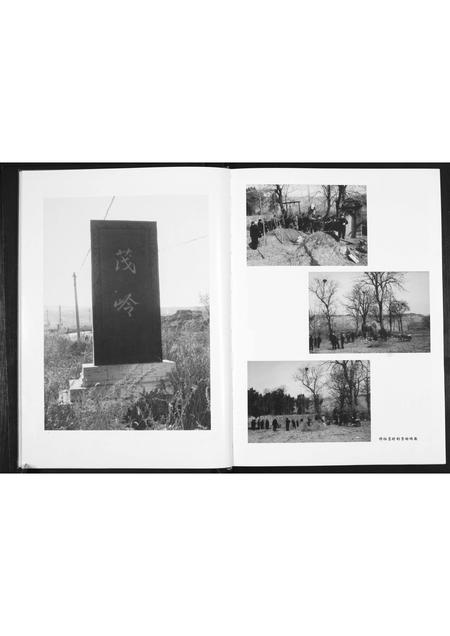 山东许氏-许氏族谱.pdf电子版插图5