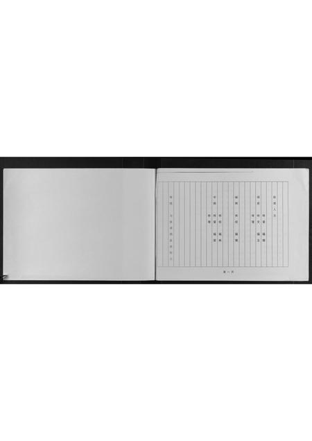 山东许氏-许氏族谱南太合支谱.pdf电子版插图2