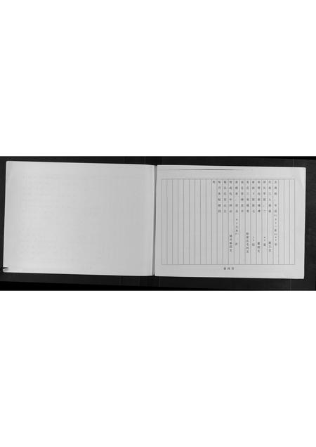 山东许氏-许氏族谱南太合支谱.pdf电子版插图5