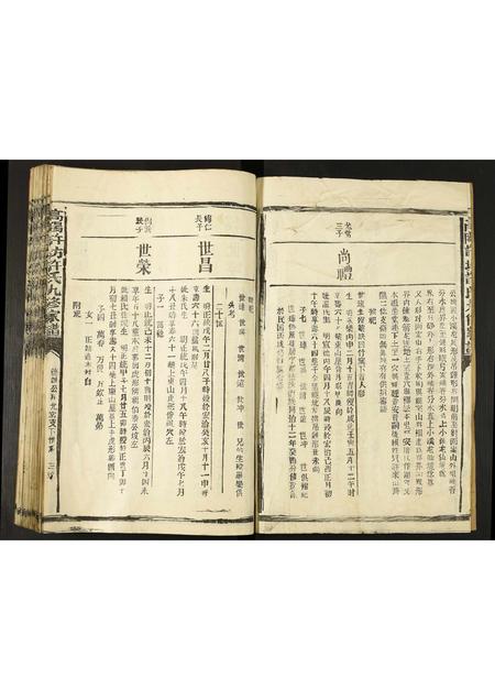 河北许氏-高阳许坊许氏九修家谱.pdf电子版插图3