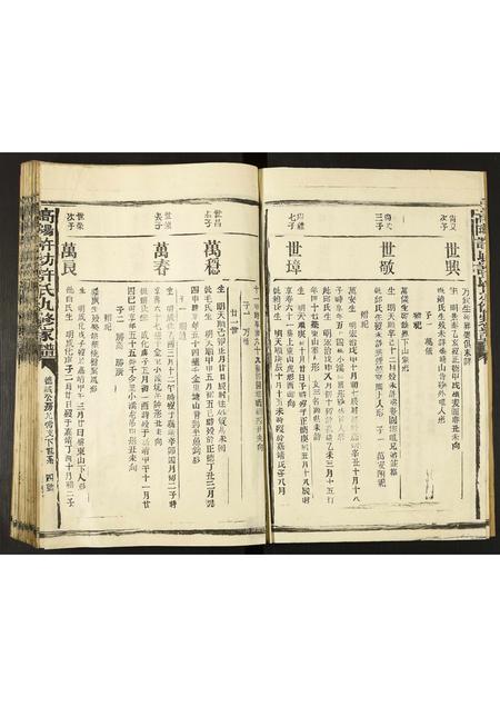 河北许氏-高阳许坊许氏九修家谱.pdf电子版插图4