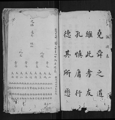 四川华氏-华氏家谱.pdf电子版插图3