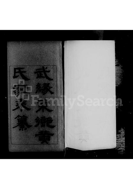广西黄氏-武缘东乡黄氏家乘纂.pdf电子版插图2