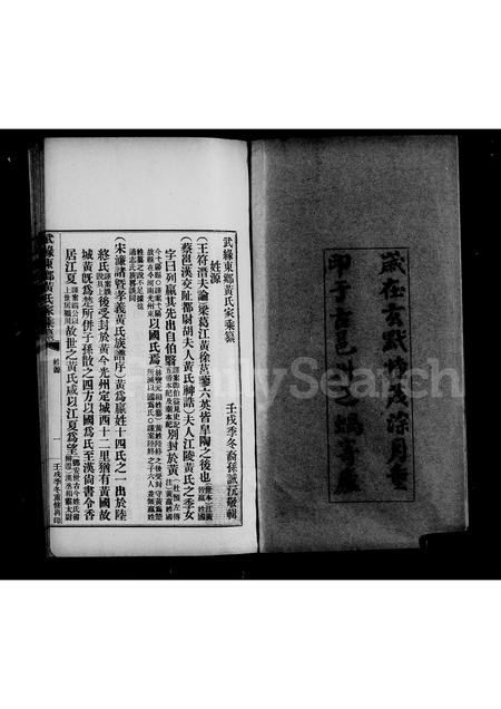 广西黄氏-武缘东乡黄氏家乘纂.pdf电子版插图3