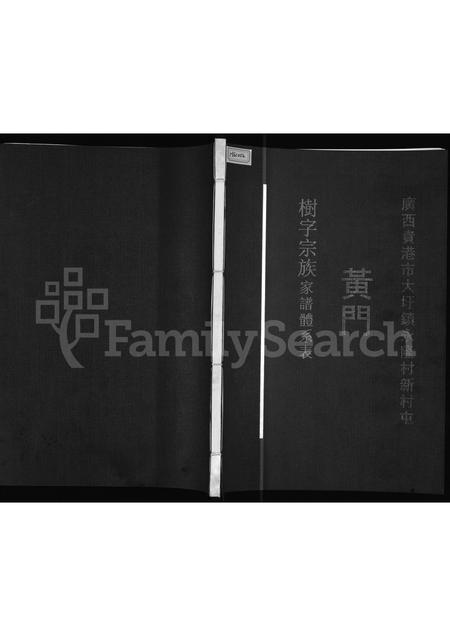 广西黄氏-广西贵港市大圩镇永隆村新村屯黄门树字宗族家谱体系表.pdf电子版