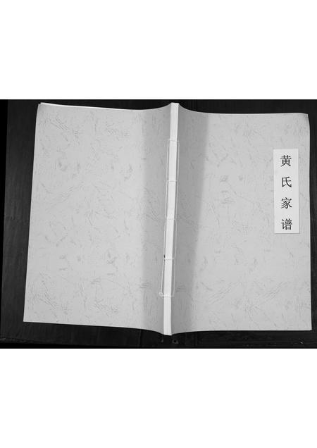 贵州黄氏-黄氏族谱[不分卷].pdf电子版插图