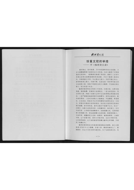 辽宁黄氏-榆树黄氏谱.pdf电子版插图3